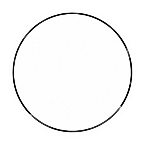 webdelve logo logoImage